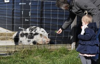 Deelnemers Keurmerk Zoönosen scoren ruim voldoende op preventie