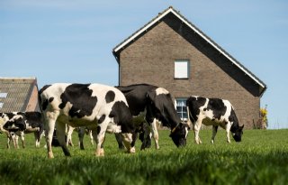 Provincies in de wachtkamer nu Van der Wal-miljarden PPLG's vervallen