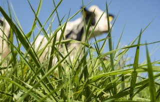 Brede steun voor Brabantse agrariërs in Gemert-Bakel