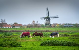 Landbouworganisaties stappen uit adviesorgaan uit wrevel over samenstelling