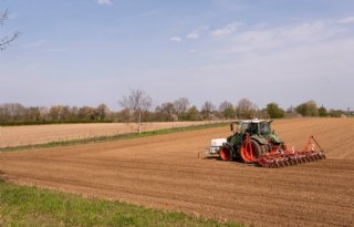 Bijna 2.000 hectare bieten gezaaid, eerste plantjes komen boven