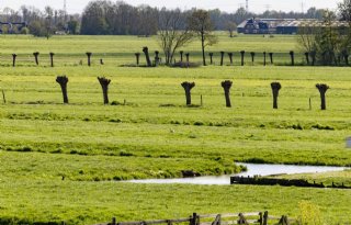 Zuid-Holland kan met 188 miljoen euro starten met 29 PPLG-projecten