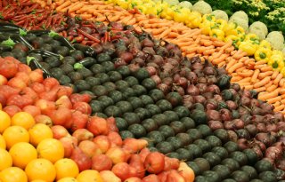 EU-telers ageren tegen etikettering groenten en fruit uit Westelijke Sahara