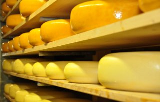 Duitsers eten meer kaas, consumptie melk blijft stabiel