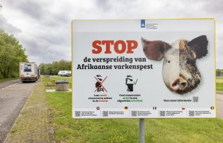 Brandenburg test vaccin-aas in strijd tegen AVP