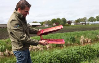 Rabobank beloont uientelers die werken met steriele insectentechniek