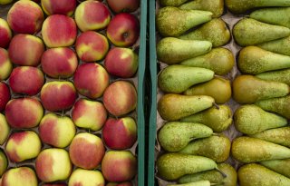 Eosta introduceert Organic Fruit Heroes om fruitconsumptie kinderen te stimuleren