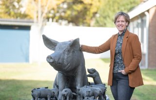 POV gaat van zeven naar twee regio's in 2026