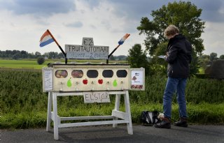 Verkoop aan huis is het meest populair onder tuinbouwbedrijven