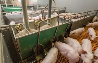 Maandsaldo zeugenbedrijven halveert in vier maanden tijd