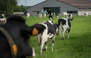 MOB: 'Koers van Wiersma gaat enkel verliezers opleveren, land blijft op slot'