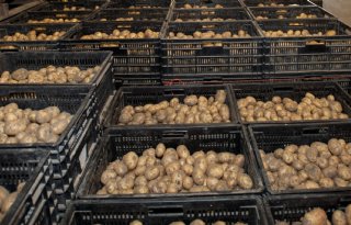Alvantho stapt in online handel via Service2Potato