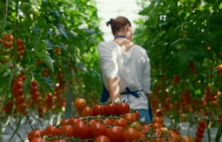 Arbeidsinspectie deelt forse boetes uit voor illegale arbeid