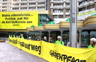 Greenpeace kritisch op kabinetsplan voor stikstofaanpak