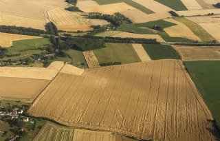 Europese Commissie verwacht lagere groei van landbouwproductie