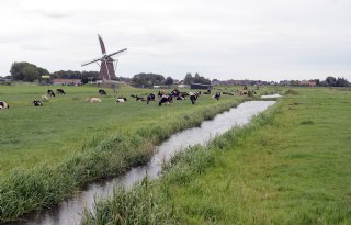 Honderden boeren melden zich aan voor klimaat- en ammoniakprojecten