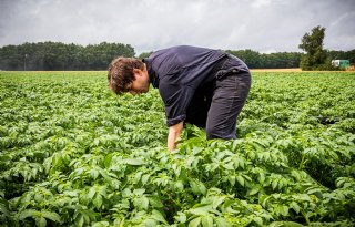 Aandeel jonge boeren nam in tien jaar tijd slechts licht toe