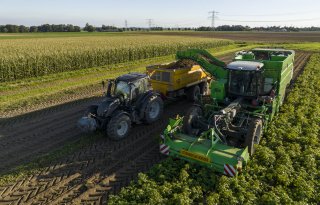 Fontane met 39 ton per hectare dik boven meerjarig gemiddelde