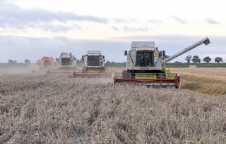RVO: 'Beleidsmakers, stel standpunt boer centraal bij opstellen regelingen'