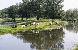 Overijsselse boeren verlengen pilot voor beheer natuurgronden