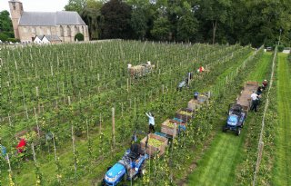 Draagvlak is nodig voor bewegingsruimte in fruitteeltsector
