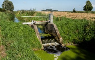 Groningse boeren trekken aan kortste eind in rechtszaak rond NV-gebieden