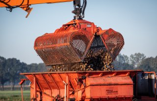 Hoge opbrengsten verlengen zetmeelcampagne Avebe