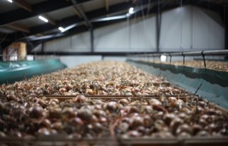 Waterman Food Group biedt meer producten aan en vergroot impact op markt