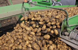 Aardappelprijs stijgt door naar maximaal 35 euro