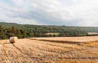 Recordaantal agrarische bedrijven stopt in Verenigd Koninkrijk
