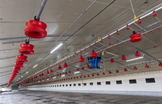 Pluimveehouder moet bioveiligheidsplan per 2026 hebben ingevuld