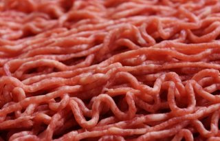 Brazilië faalt bij export met hormoon behandelde runderen