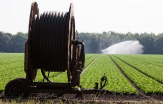 Brabant krijgt overgangsgebieden met beperkingen gewasbescherming