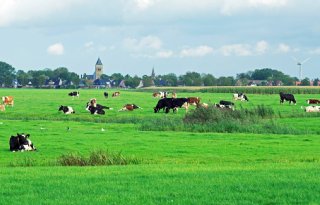 Geld voor innovatieve landbouwprojecten in noordelijke provincies