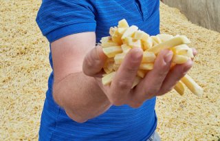 EU-exporteurs krijgen weer toegang tot Colombiaanse fritesmarkt