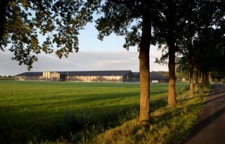 Ook als vogelgriep kan binnenwaaien blijven andere insleeproutes risico