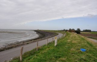 Rijk reserveert extra miljoenen voor natuurdoelen in Zeeland