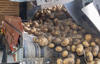 Marieke Hoste per 1 januari nieuwe directeur VAVI