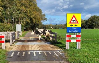 Veestapel dreigt door scherpere excretieplafonds voor 2025 te schieten