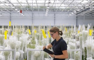 'Groene biotechnologie is essentieel voor toekomst van Nederland'