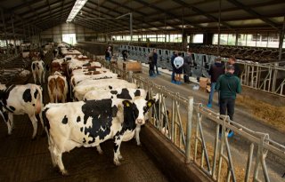Noord-Nederland ziet rol als regionale experimenteerlocatie