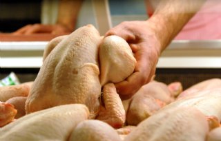 Wereldwijd steeds meer vraag naar pluimveevlees