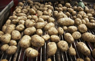 'Deloitte-rapport schiet zijn doel voorbij'