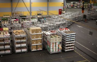 Novemberomzet FloraHolland vrijwel gelijk aan vorig jaar