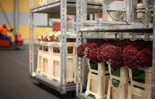 Kwekers overhandigen petitie tegen verplichte certificering aan directie FloraHolland