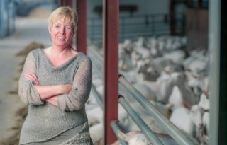 'Bij vertraging Wet dieren is niemand geholpen, tenzij je daarop uit bent'