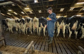Bedrijfsspecifieke normen en gebiedsgericht beleid moeten stikstof aanpakken
