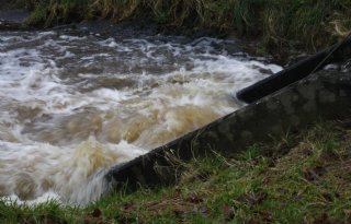 Watermaatregelen kunnen rekenen op subsidie van Brabants waterschap