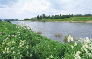 Al maand geen drinkwater uit Maas door Belgische vervuiling
