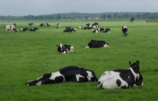 Overijsselse Statenleden praten uren over nut ADC-toets voor PAS-melders